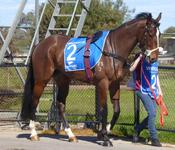 Wang Aug 28 2017 063.jpg