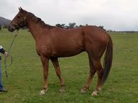 Trackwork Aug 30 2017 104.jpg