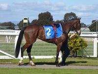 Wang Aug 28 2017 060.jpg