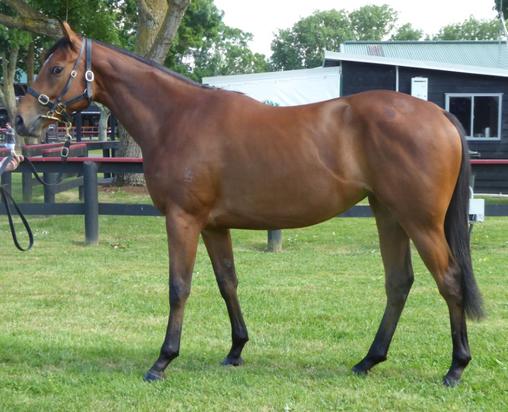 Darci Brahma X Lucky We Leica