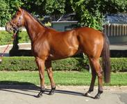 Seymour Dec 15 2017 057.jpg