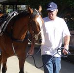 Wangaratta Trials Dec 6 2017 034.jpg