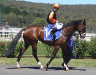 Kilmore Feb 1 2018 049.jpg