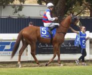 Flem-Ballarat Feb 18 2018 104.jpg