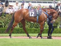 Flem-Ballarat Feb 18 2018 023.jpg