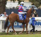 Flem-Ballarat Feb 18 2018 098.jpg