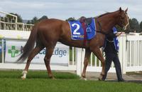 Ballarat Jan 30 2018 034.jpg