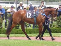 Flem-Ballarat Feb 18 2018 025.jpg