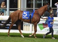 Flem-Ballarat Feb 18 2018 083.jpg