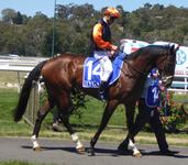 Kilmore Feb 1 2018 046.jpg