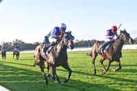 Stable quinella at Bendigo