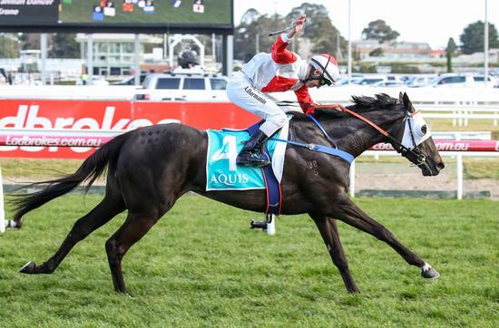 Mystic Journey gives Devonport trainer Adam Trinder first stakes win in Melbourne