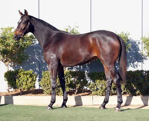 Monyatta
