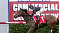 Horses For Courses With Broadstone