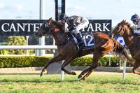 Sydney Sizzles For Beer Racing!