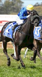 Shinseki Salutes At Leeton!