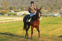 Double Fun at Gundagai!