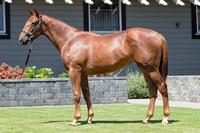 Wahini Miss breaks maiden staus
