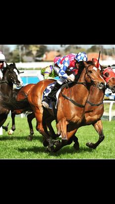Fell Swoop