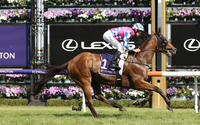 Prometheus Gets The Job Done At Flemington