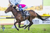 Sausedge wins at Rosehill