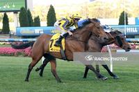 IN FORM MARE HEADS TO OAKS DAY