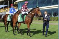 TIMELY PEDIGREE UPDATE FOR RELIABLE MAN COLT