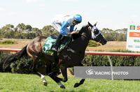 Dewrinkler lands the odds in style