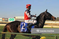 Dixie Preacher spanks them at Benalla