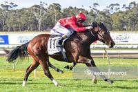 Miss Toorak Flyer wins again