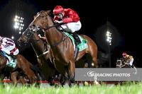 Miss Toorak Flyer on track for Magic Millions Day