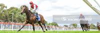 Dual Lane salutes on first run for the stable