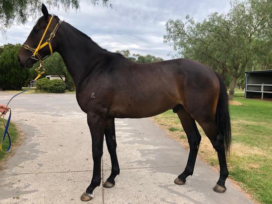 Unencumbered X Half A Minute