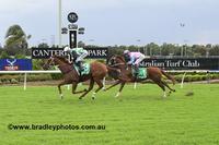 3rd up Win for Red Dubawi at Canterbury