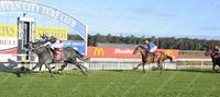 Thrilling 2nd Up Win for Brad the Lad