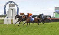 Misty Mountain Hop Breaks His Maiden at Kembla Grange
