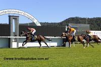2nd Win for Misty Mountain Hop