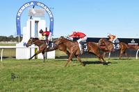 Virgilio Runs Home for 2nd Up Win on Home Track