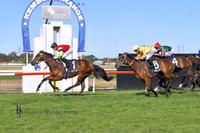 Win for Virgilio at Kembla Grange on 17 September 2017