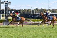 First Metropolitan Win for Red Dream