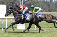 3 Year Old Dark Dream Wins Debut Run at Moruya
