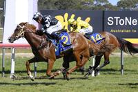 The Houso Wins on Debut at Moruya