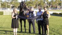 2nd Win from All American 3 Year Old, Dark Dream