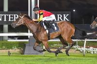 Virgilio Wins at Canterbury Night Meeting on 16 February 2018
