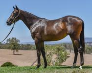 Lot 678 - Smart Missile x Break Card