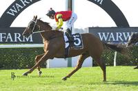 Second Win in a Row for Stayer Red Dream