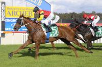 Red Dream Wins at Nowra