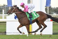 Porky Pies Ticks off his Maiden Win at Home Track
