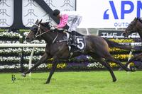 Heartlet ready for step up at headquarters in Christmas Cup