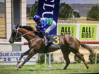Neptune Breaks His Maiden Win at Queanbeyan on Australia Day